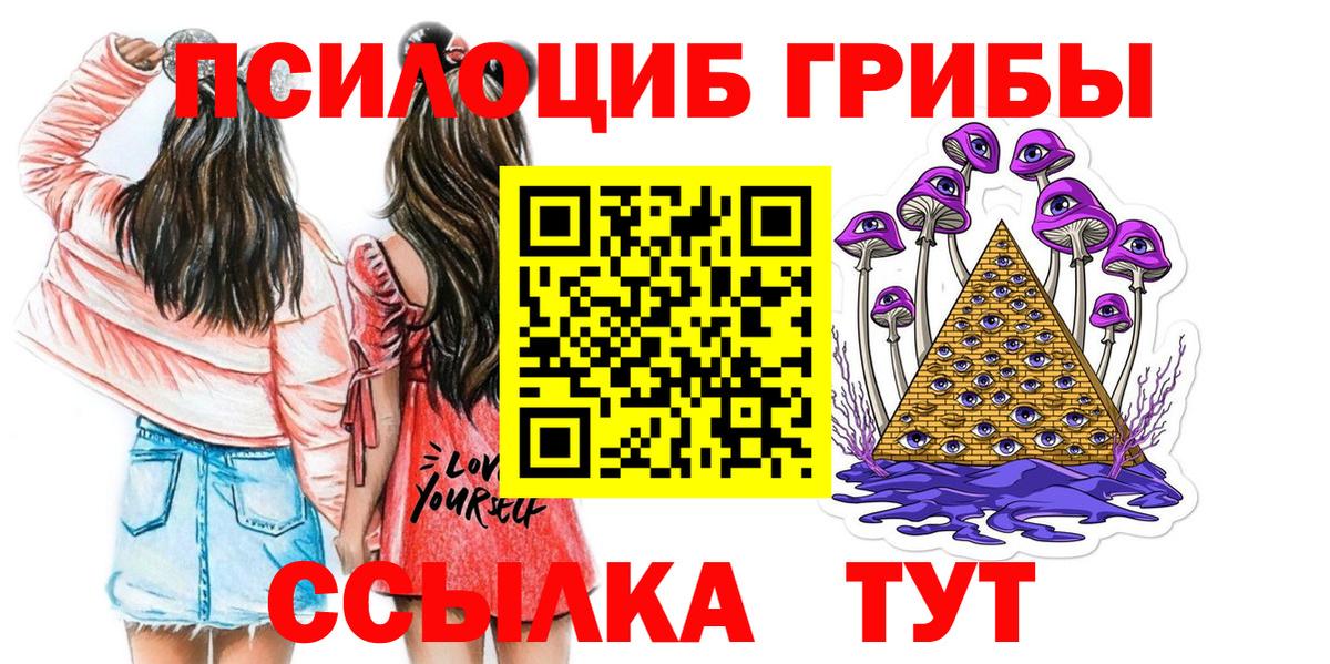 Галлюциногенные грибы Psilocybe Егорьевск