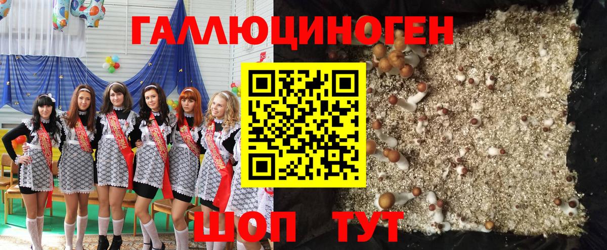 Псилоцибиновые грибы Psilocybine cubensis  Вход с VPN  Егорьевск  Галлюциногенные грибы Psilocybine cubensis 